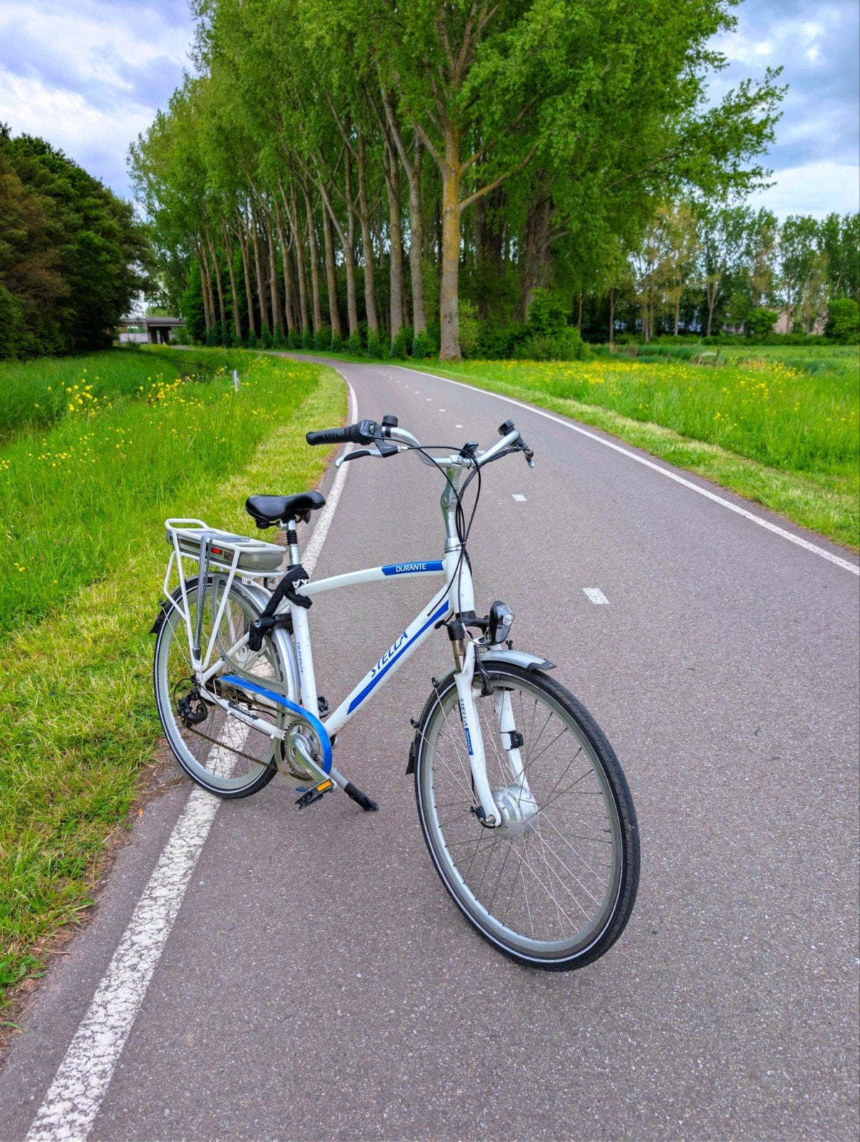 Elektrische fiets Stella + goede accu, Ophalen, Zo goed als nieuw, Overige merken, Versnellingen