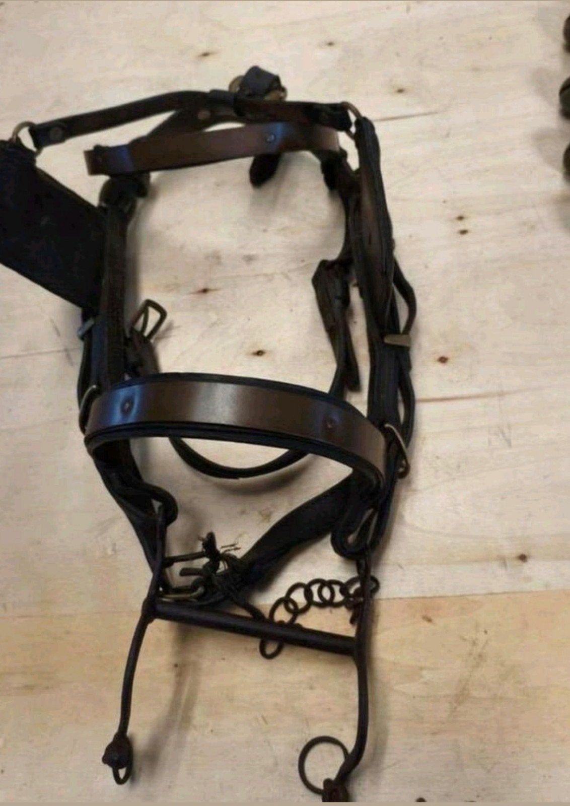 Antiek menhoofdstel koperen gespen en bloemafwerking, Ophalen of Verzenden, Western