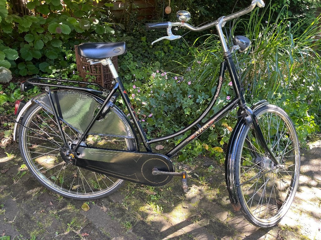 azor damesfiets, Versnellingen, Schijfrem, Ophalen, Overige merken