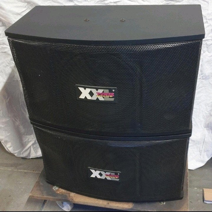 XXL power sound dl-450 luidsprekers 80-200 watt, Ophalen