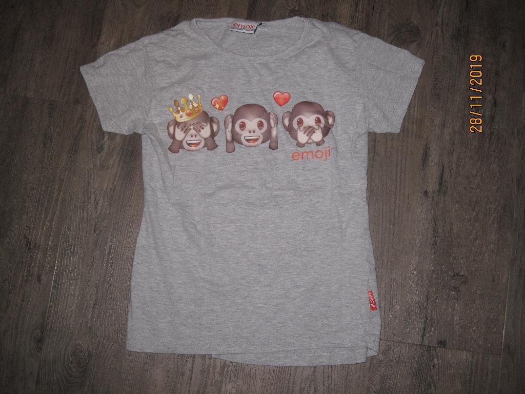 Grijs t-shirt met emoticons maat 158/164, Kinderen en Baby's, Kinderkleding | Maat 158, Gebruikt, Meisje, Ophalen of Verzenden