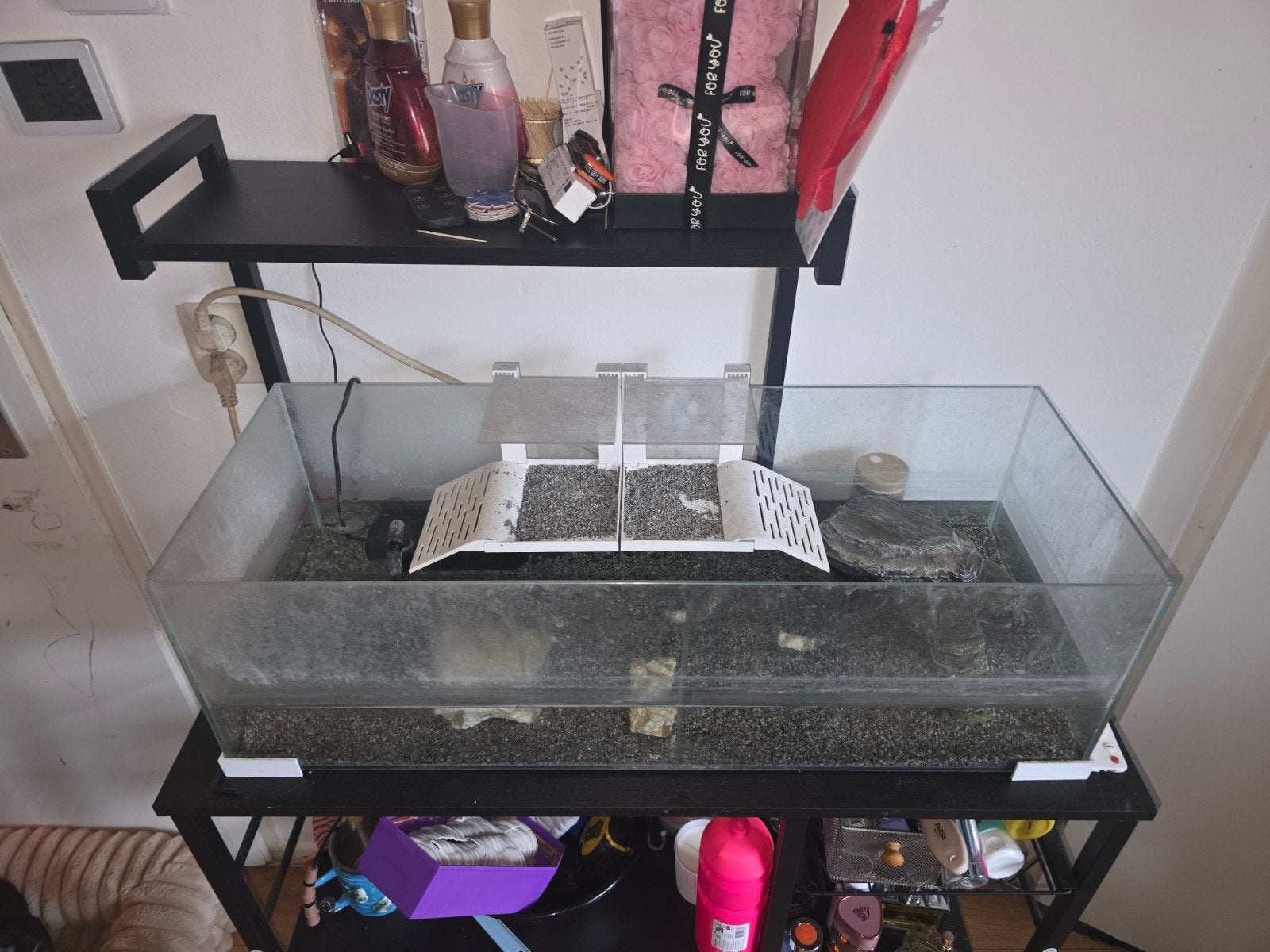 te koop schildpad met aquarium en pomp, Ophalen, Overige typen