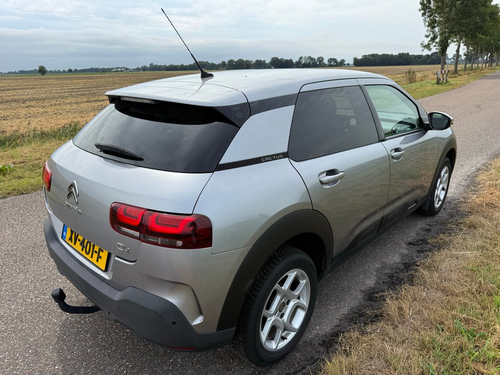 Citroën C4 Cactus 1.2 E-thp 110 2019 Grijs, Auto's, Citroën, 1005 kg, 1199 cc, 49 €/maand, Origineel Nederlands