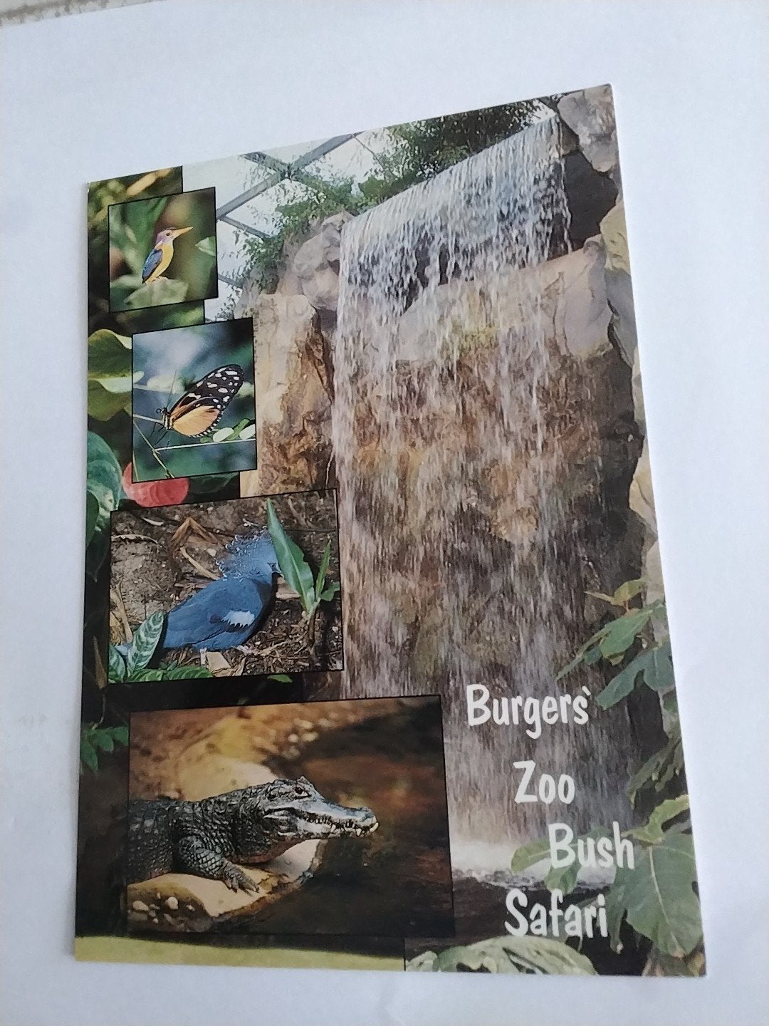 Ansichtkaart Burgers' Zoo Bush Safari Arnhem Holland, Ophalen of Verzenden