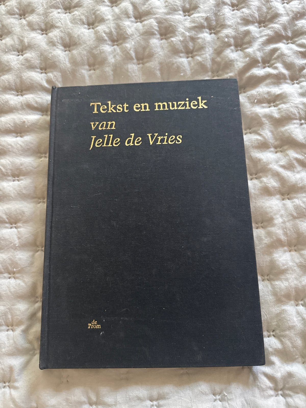 Tekst en Muziek van Jelle de Vries met CD's, Boeken, Ophalen of Verzenden, Zo goed als nieuw, Artiest