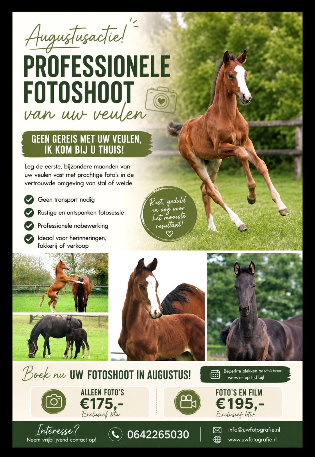 *Professionele Fotoshoot van uw veulen, paard, hond?*, Dieren en Toebehoren, Paarden en Pony's | Verzorgingsproducten, Ophalen