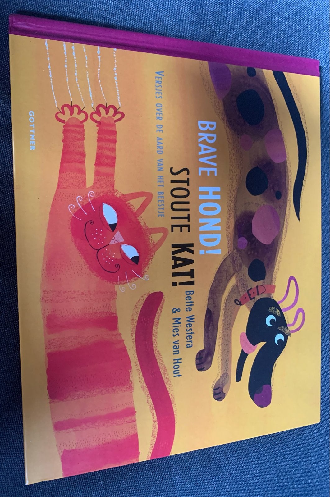Brave Hond! Stout Kat! - Bette Westera & Mies van Hout, Ophalen, Zo goed als nieuw, Uitklap-, Voel- of Ontdekboek, 2 tot 3 jaar