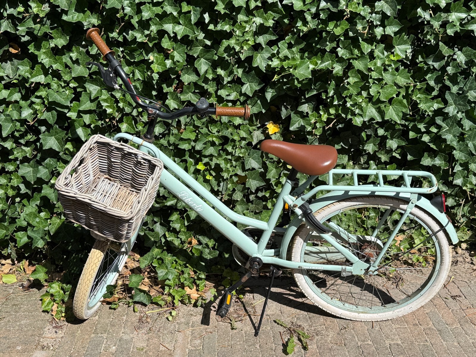 Leuke mintgroene meisjesfiets 22 inch met mandje, Ophalen, Terugtraprem, 22 inch, Gebruikt
