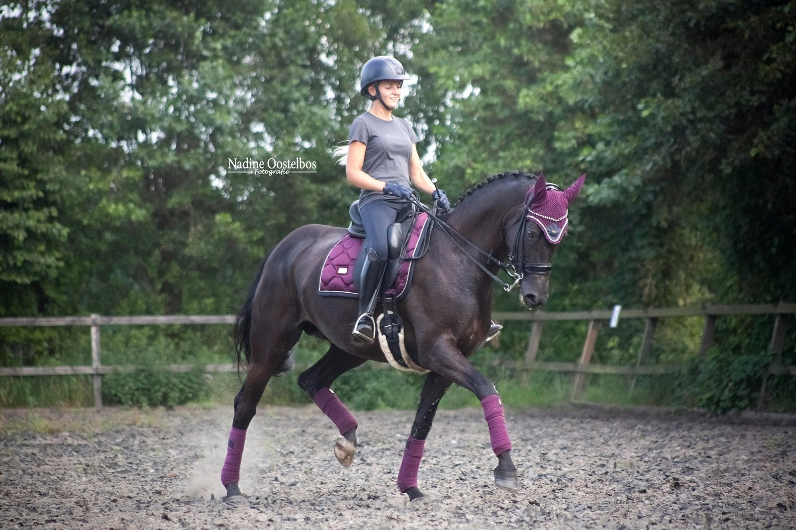 Aansprekende merrie, Dieren en Toebehoren, Paarden, Merrie, Dressuurpaard, 11 jaar of ouder, 165 tot 170 cm