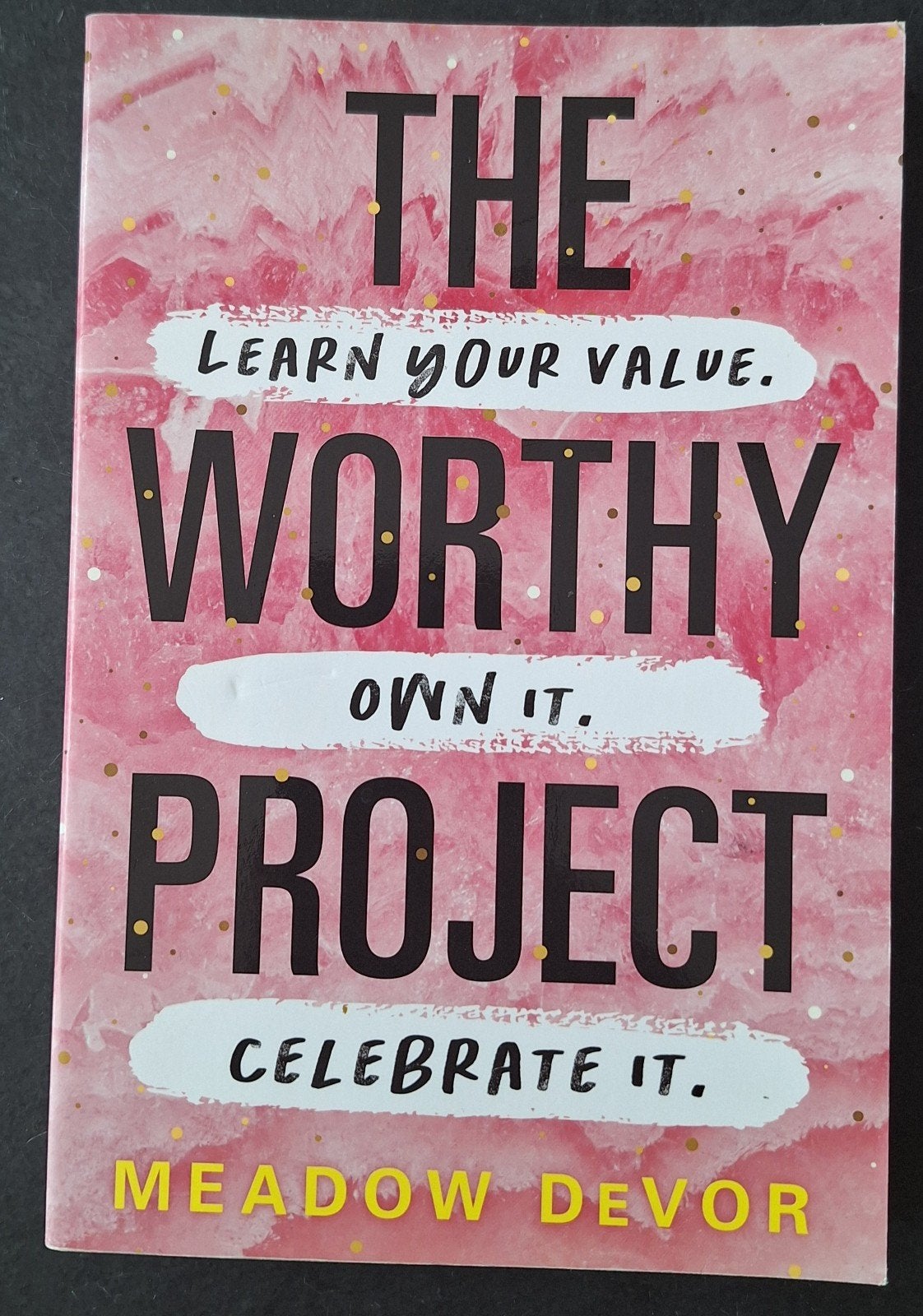 The Worthy Project, Ophalen of Verzenden, Zo goed als nieuw, Meadow Devor, Eén auteur