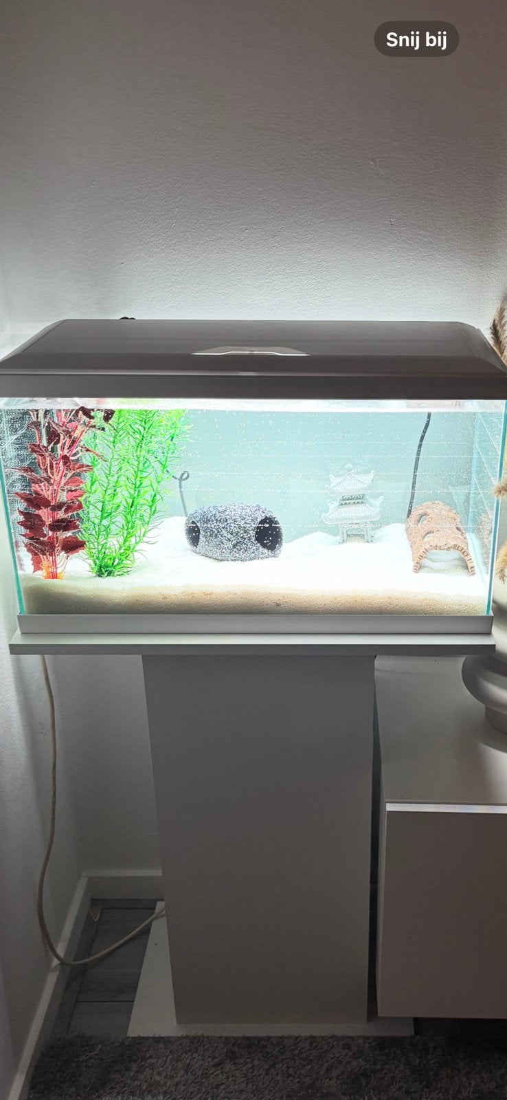 Aquarium 60L + alle benodigheden, Ophalen, Zo goed als nieuw, Leeg aquarium