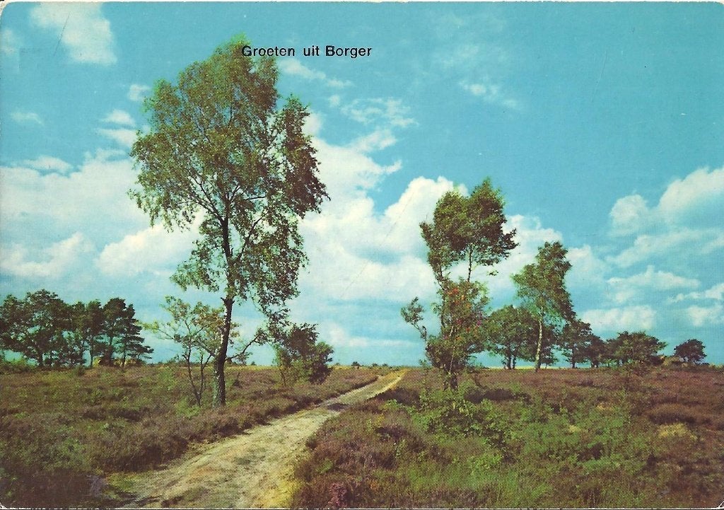 D42 gelopen ansichtkaart borger, Ophalen of Verzenden, 1980 tot heden, Drenthe