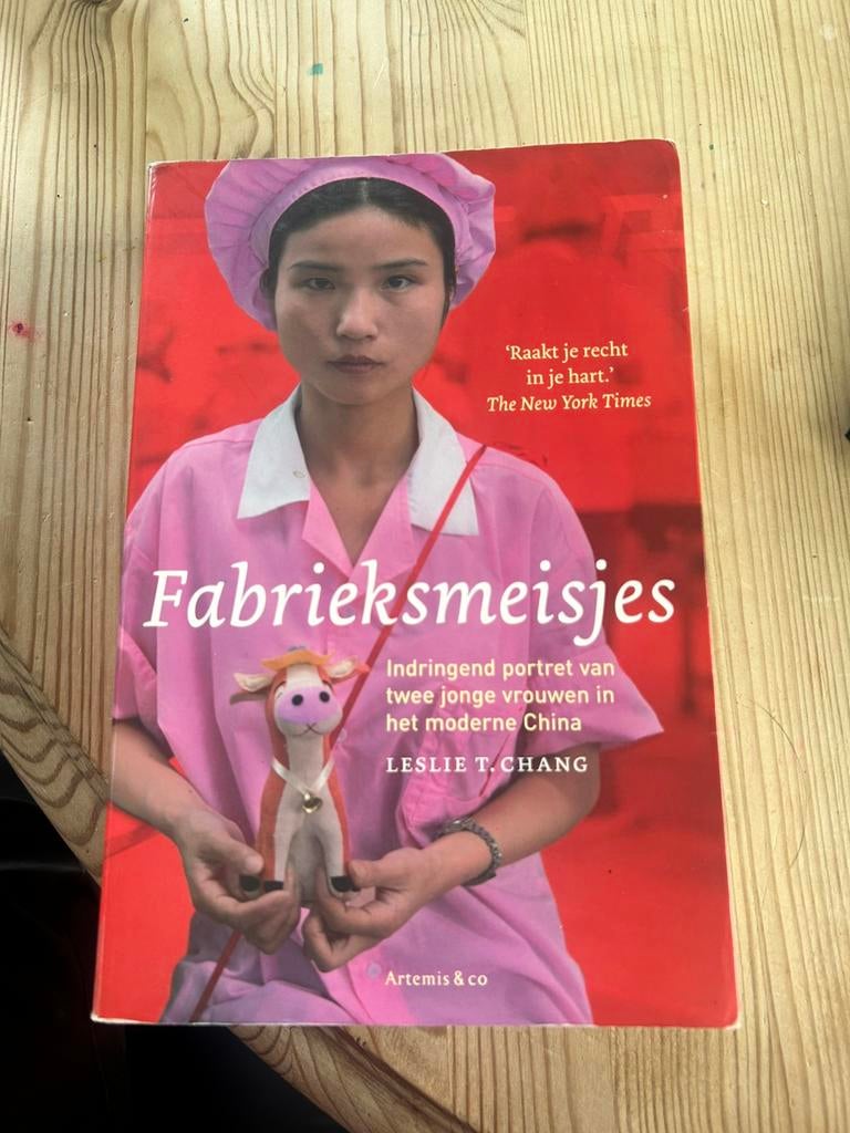 Boek de Fabrieksmeisjes, Ophalen of Verzenden, Gelezen, Maatschappij en Samenleving, Overige gebieden