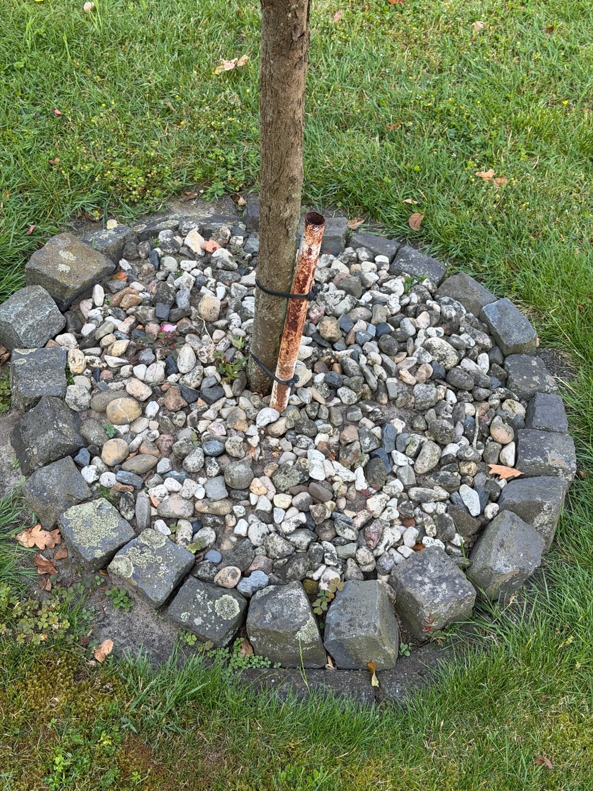 Diverse stenen en sierstenen gratis af te halen, Tuin en Terras, Grind, Keien en Split, Ophalen, Overige materialen, Gebruikt