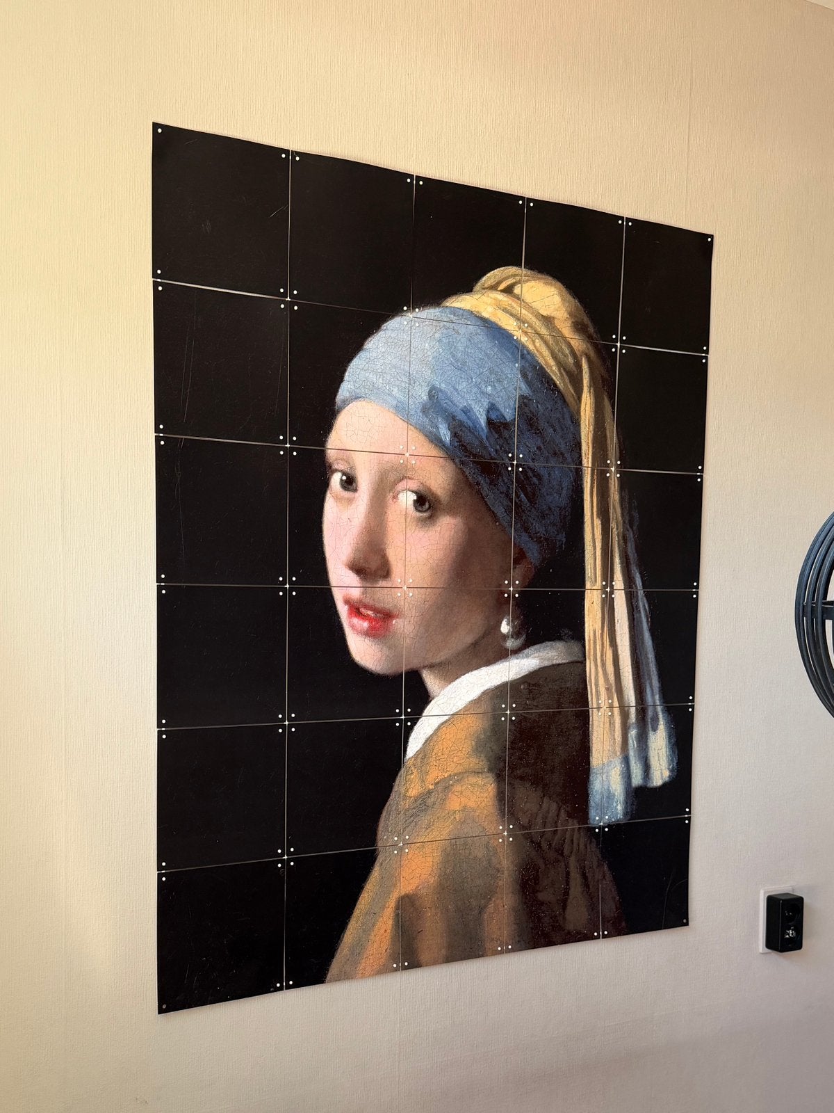 IXXI Meisje met de parel • 100x120cm, 120 cm, Zwart, Ophalen of Verzenden, Zo goed als nieuw