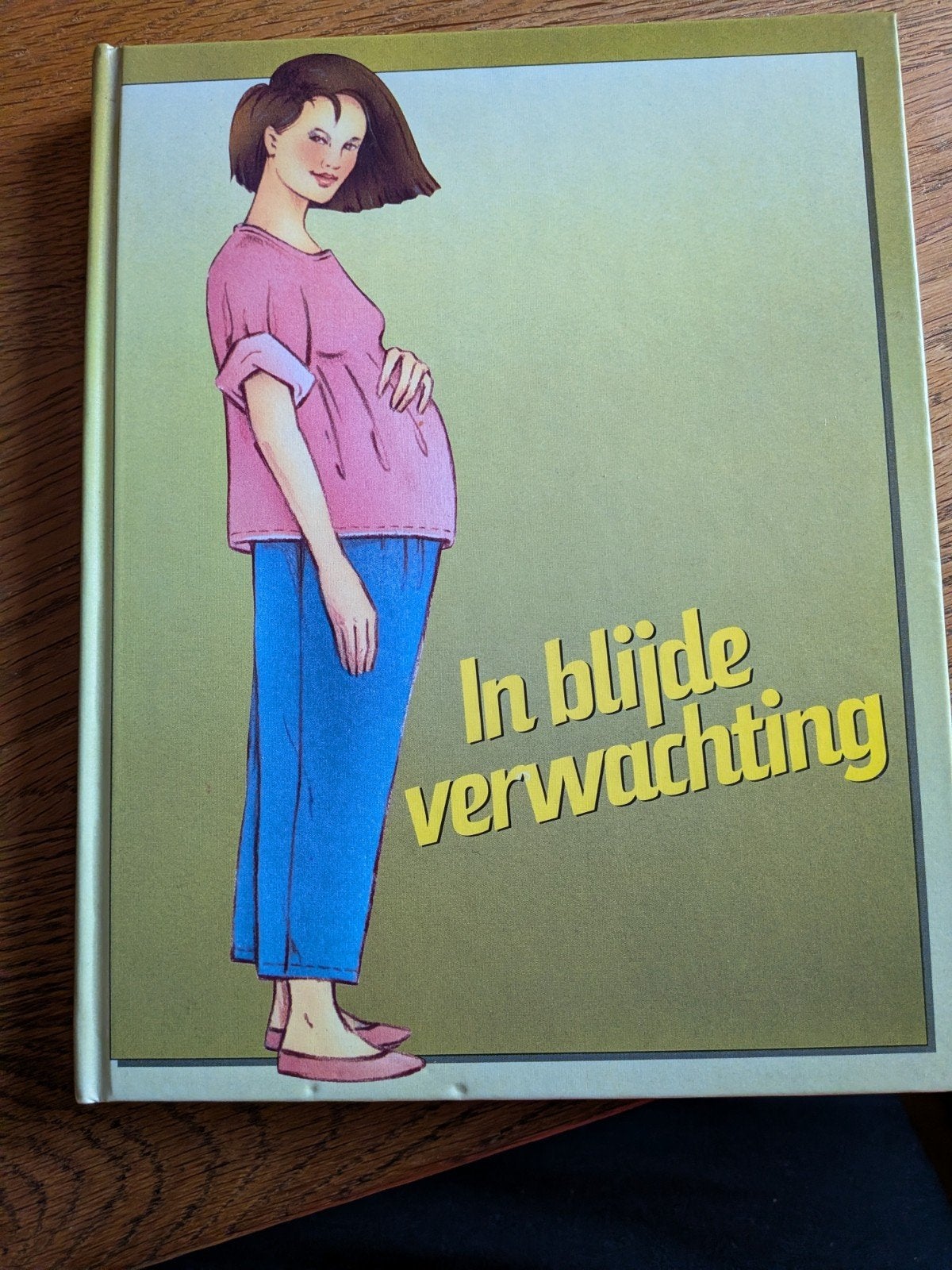 In Blijde Verwachting - Boek over Zwangerschap, Boeken, Zwangerschap en Opvoeding, Gelezen, Zwangerschap en Bevalling, Ophalen of Verzenden