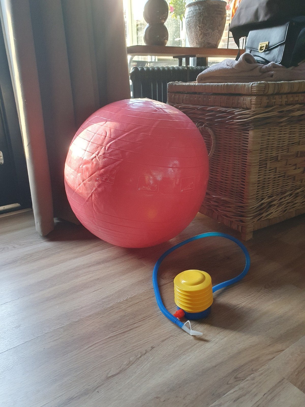Fysio fitness bal plus pompje, Ophalen of Verzenden, Zo goed als nieuw, Overig