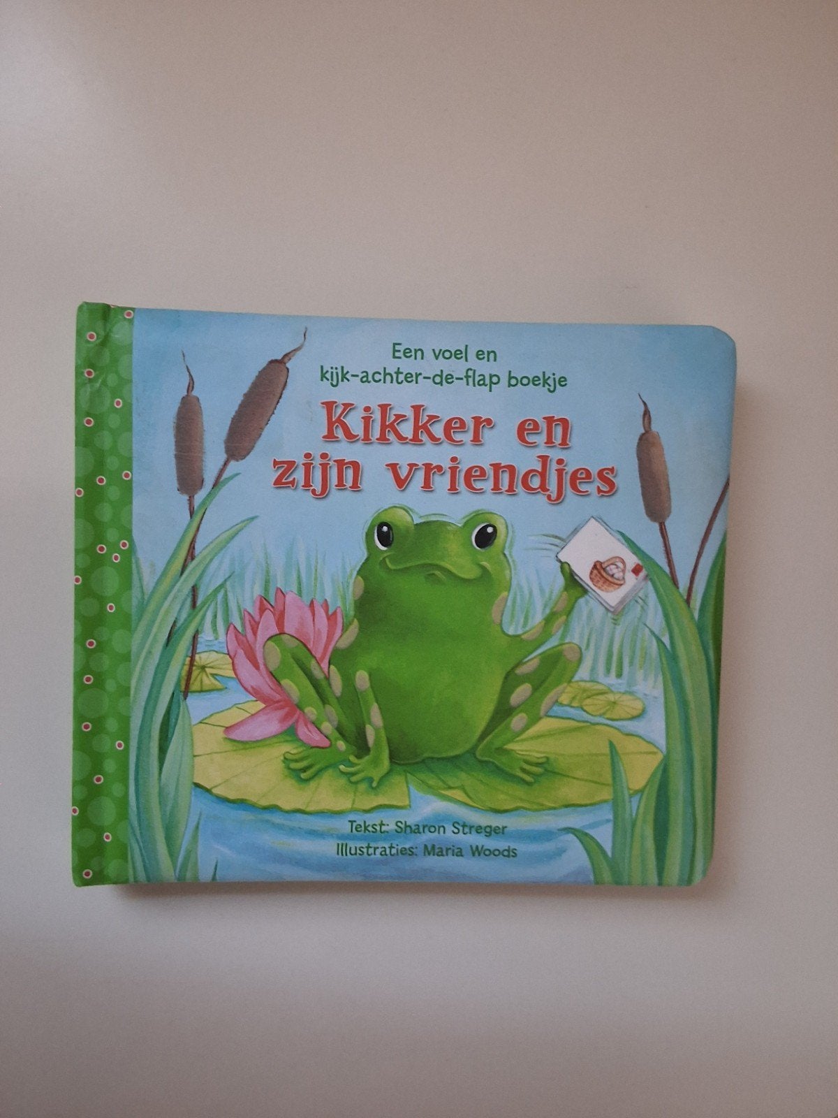 Kikker en zijn vriendjes - Voel- en kijk-achter-de-flap boe, Boeken, Ophalen of Verzenden, Zo goed als nieuw, Sharon Streger, Uitklap-, Voel- of Ontdekboek