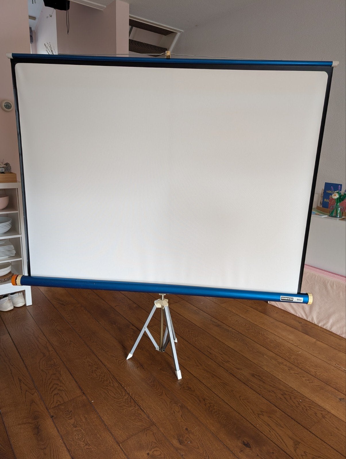 Reflecta Delux diaprojectiescherm - goed functionerend, Audio, Tv en Foto, Ophalen, Handmatig, Gebruikt