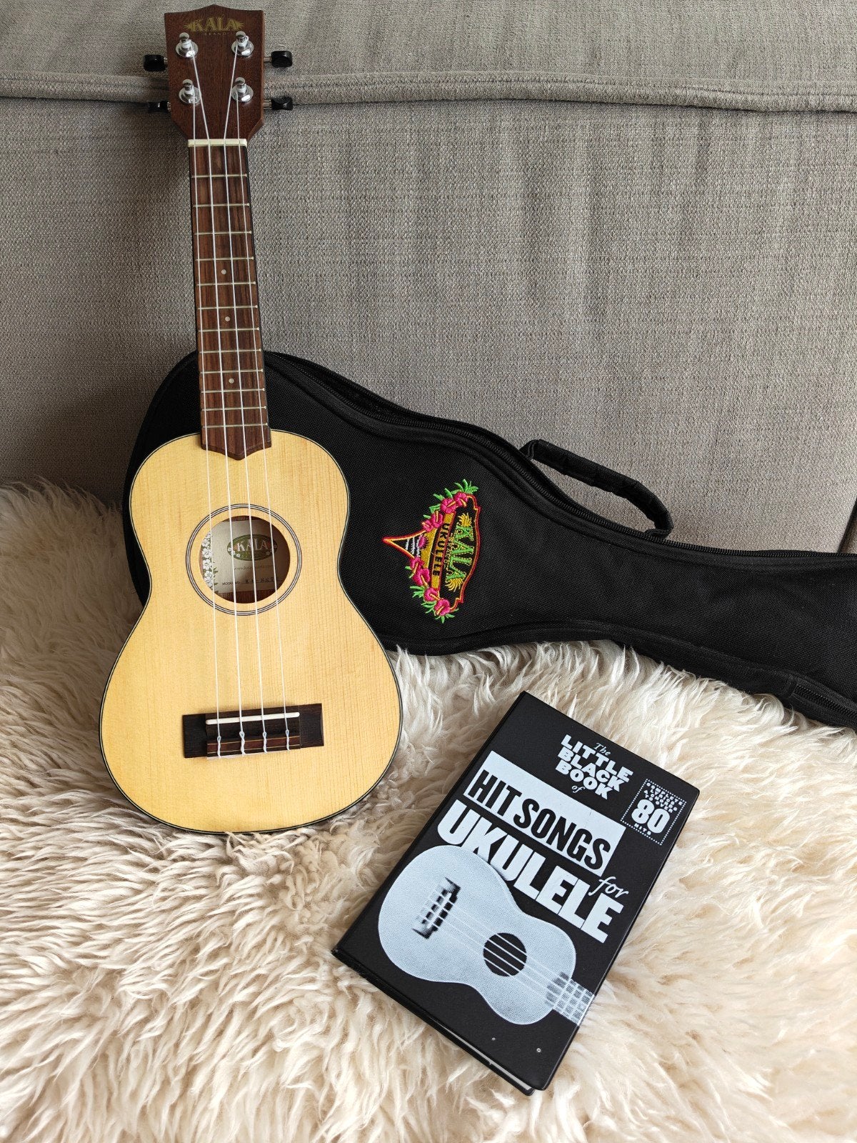 Sopraan Ukelele (reismodel) met hoes, boekje en stemmer, Ophalen, Zo goed als nieuw, Ukelele