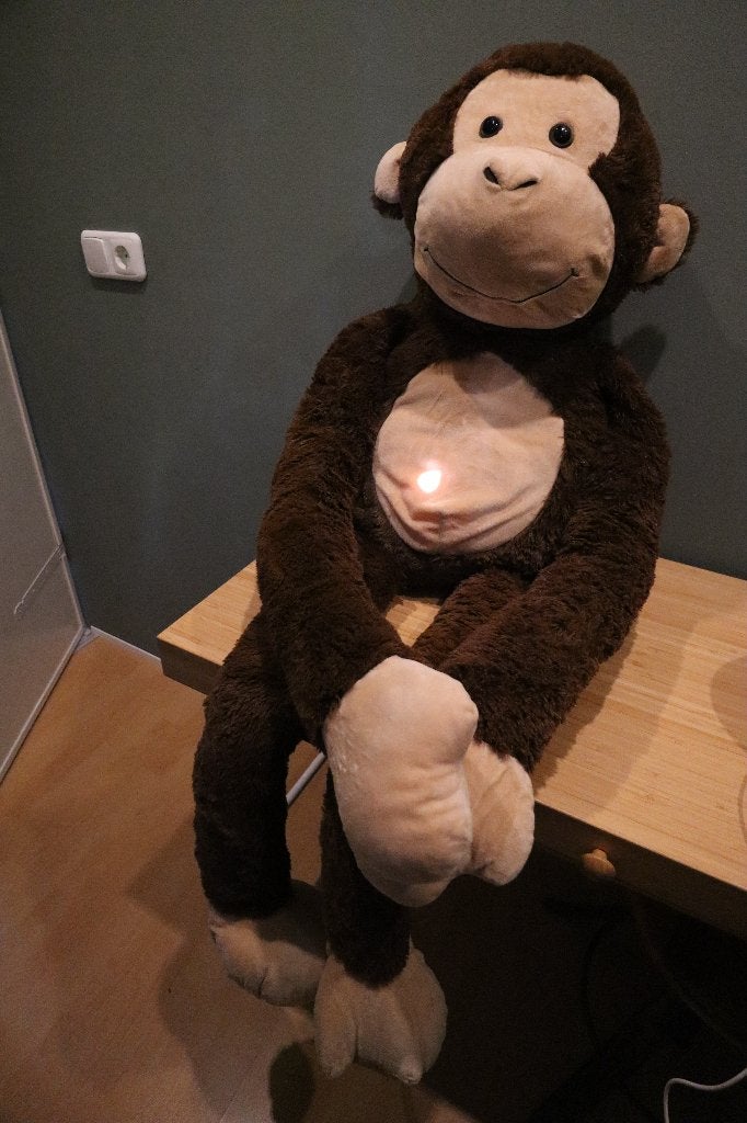Grote knuffel aap ongeveer 130 cm, Overige typen, Ophalen of Verzenden, Zo goed als nieuw, Bruin