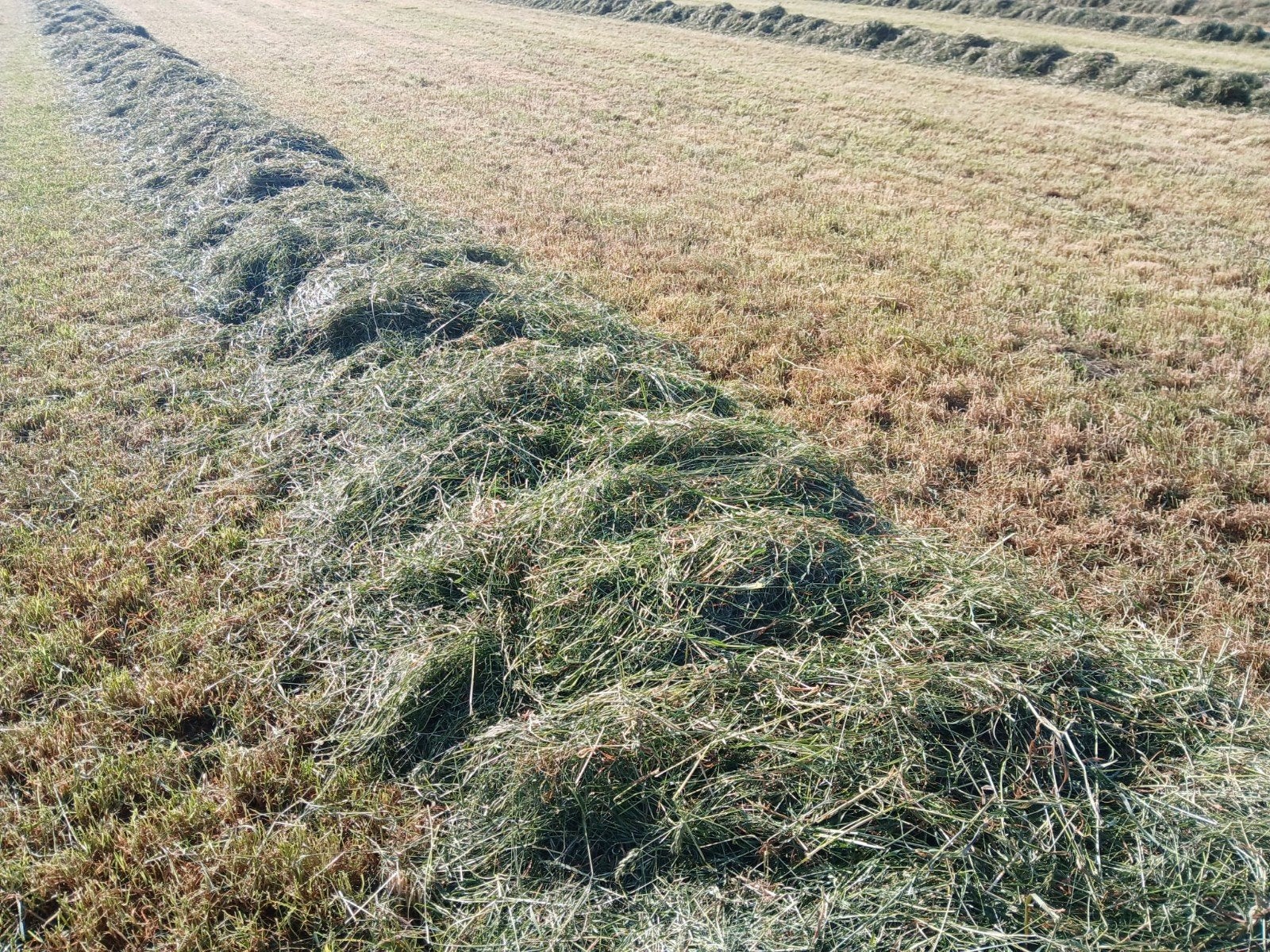Kuil/hooi balen