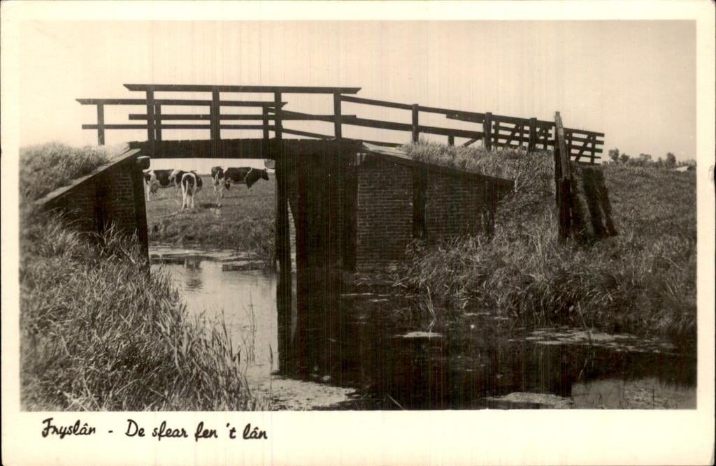 Fryslân - Brug - Sloot met koeien, Ophalen of Verzenden, 1940 tot 1960, Ongelopen, Friesland