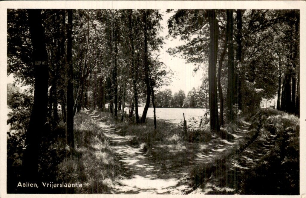 Aalten - Vrijerslaantje - Pad tussen bomen, Ophalen of Verzenden, 1920 tot 1940, Ongelopen, Gelderland