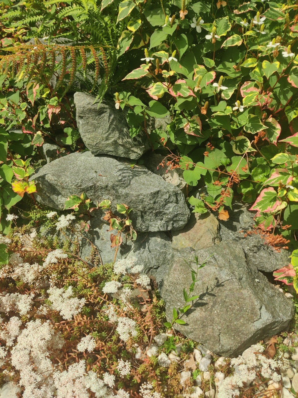Grote sierkeien en zwerfstenen. Groot en middelgroot., Ophalen