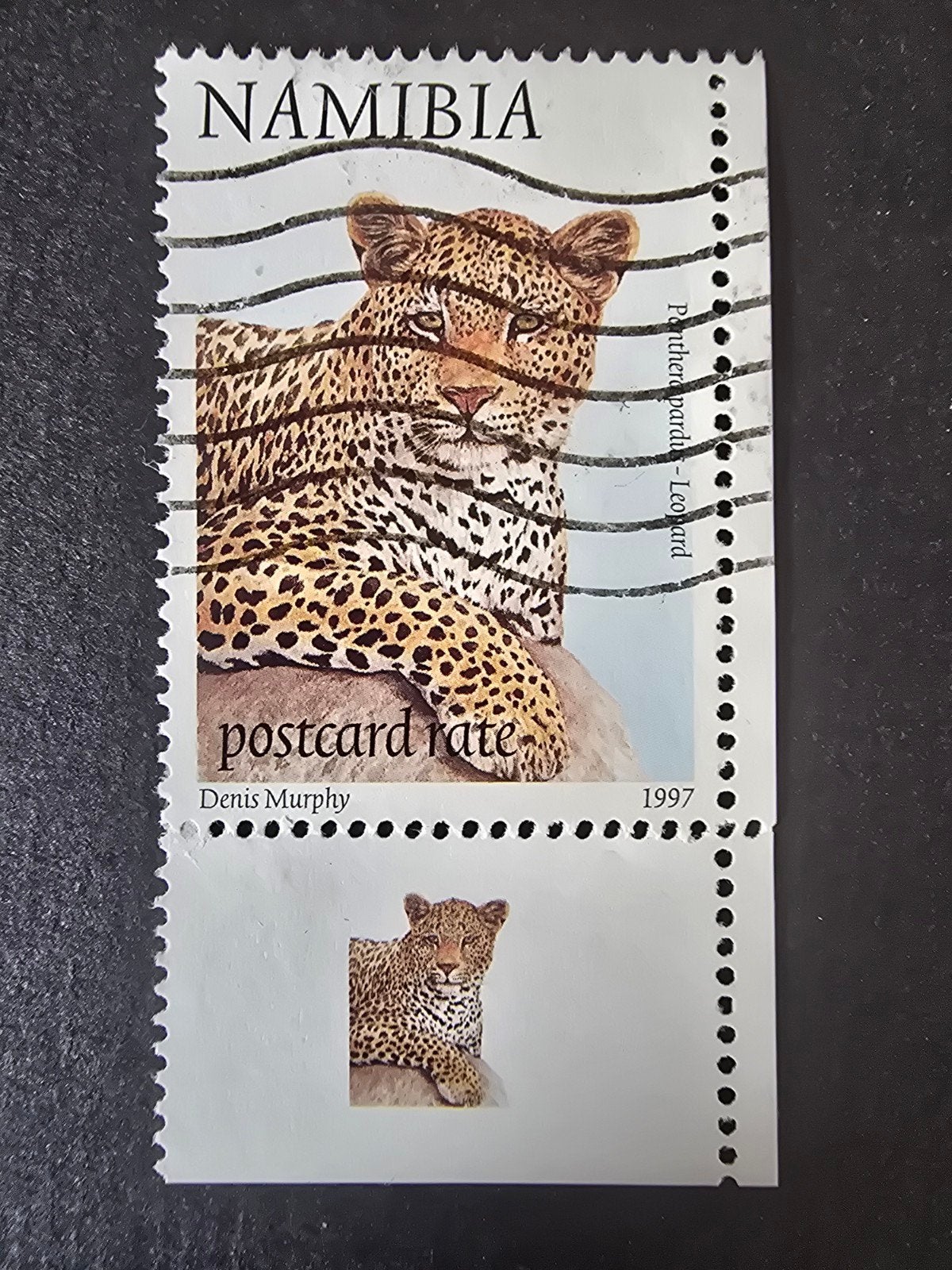 Postzegel Namibië 1997 - Michel 888A - Tijger, Ophalen of Verzenden, Overige landen, Gestempeld