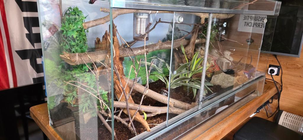 Terrarium, Eén persoon, Ticket of Toegangskaart