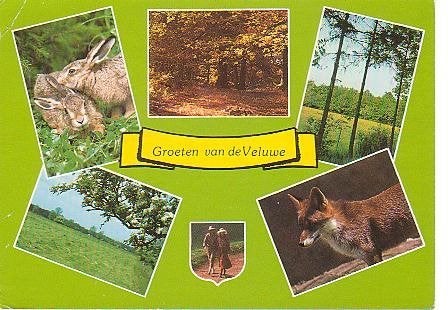 Ansichtkaart	Veluwe	6-luik, Verzenden, 1960 tot 1980, Gelopen, Gelderland