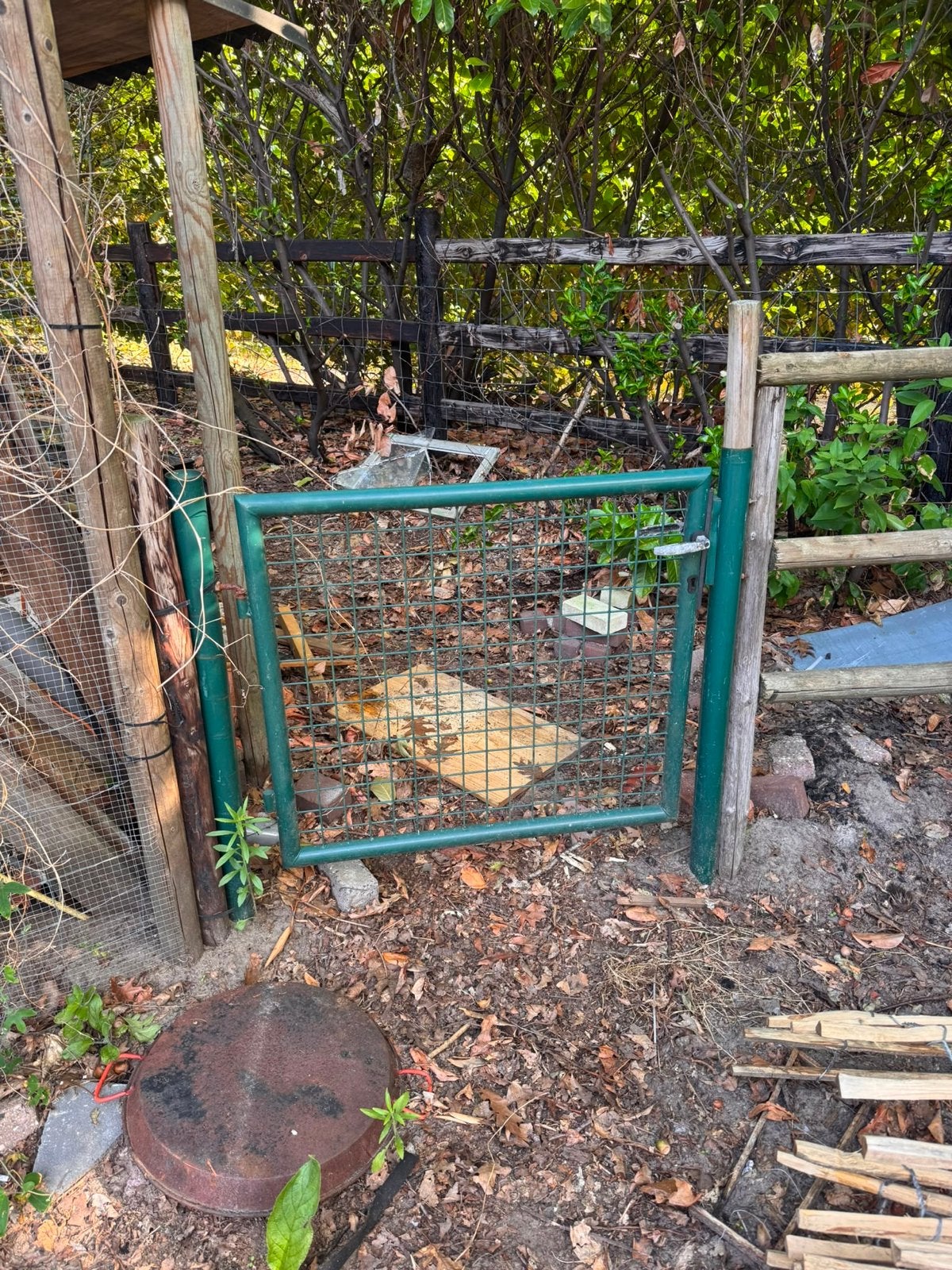 Groen metalen tuinhekje met sluiting, Ophalen, Met poort, Gebruikt, Tuinhek