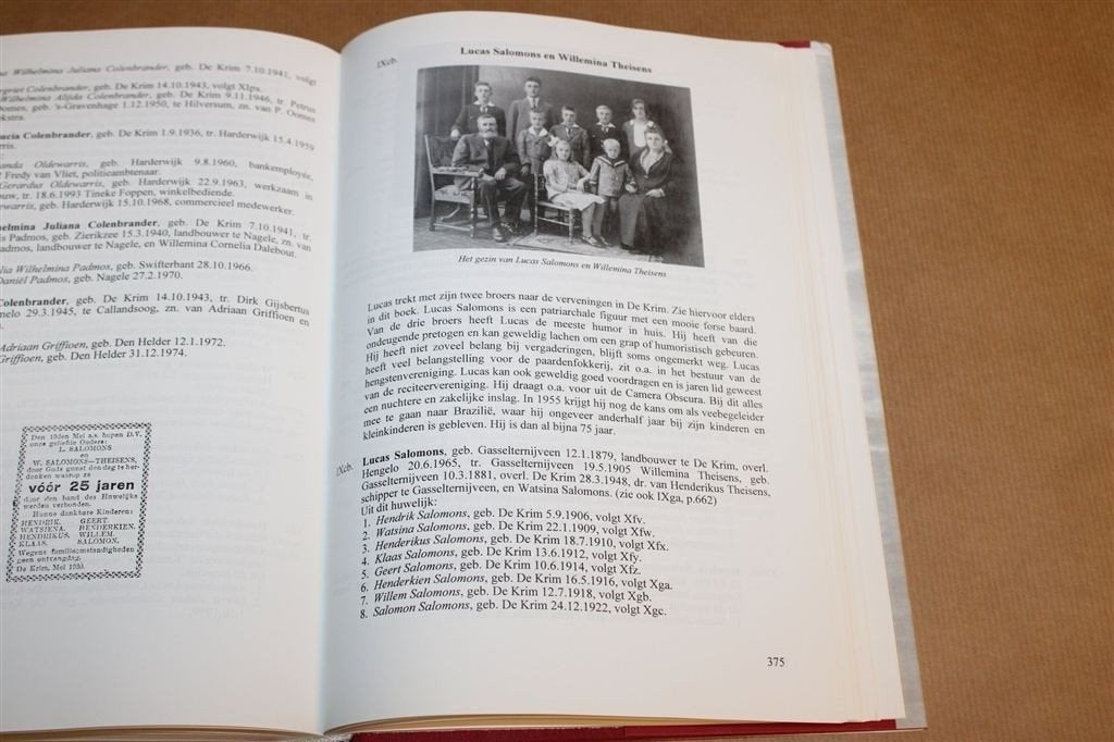 Parenteel Salomons 1650-1999 — Genealogie Gasselternijveen, Ophalen of Verzenden, Gelezen