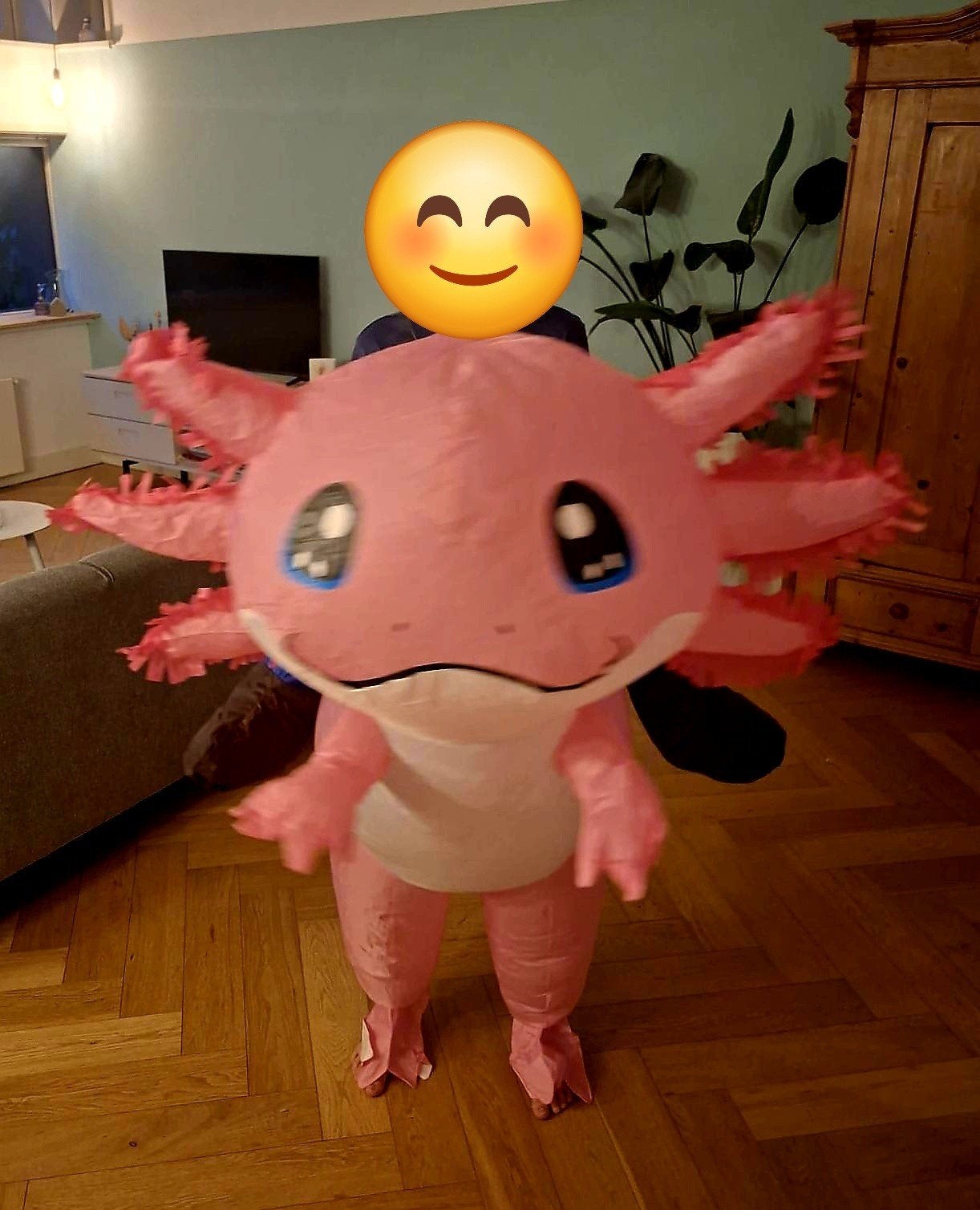 Opblaasbaar Axolotl Verkleedpak - Roze, Ophalen of Verzenden, Zo goed als nieuw, Carnaval, Kleding