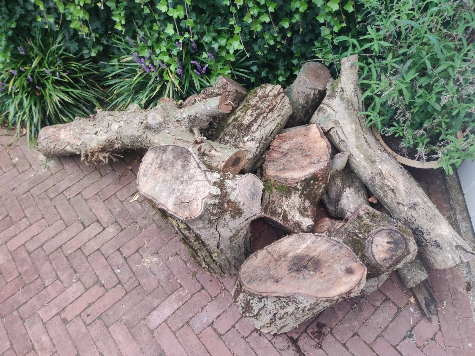 grote stukken haardhout, Ophalen