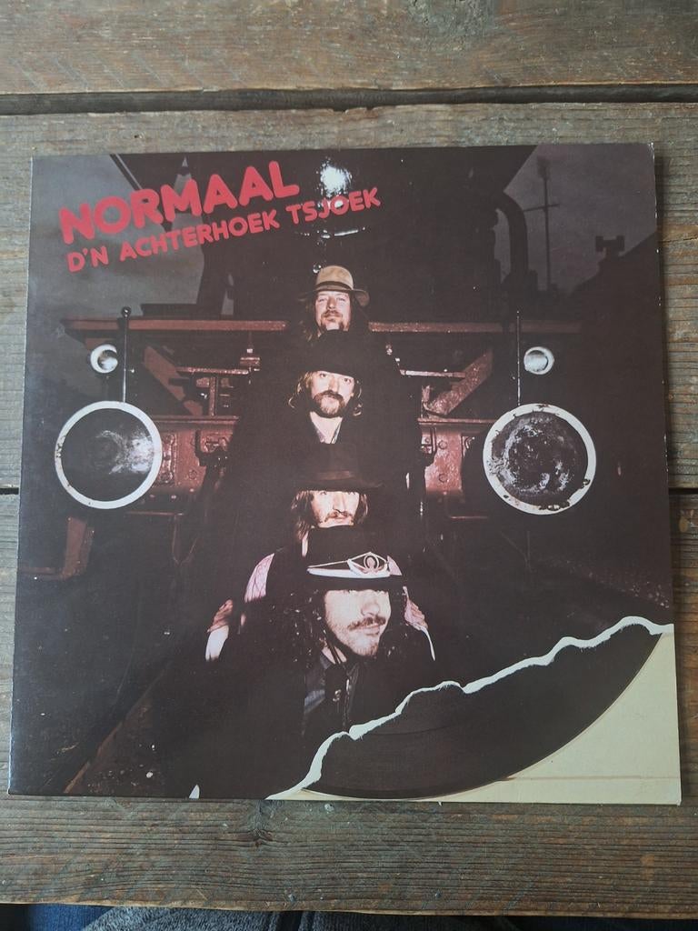 Normaal - D'n Achterhoek Tsjoek (1979), Cd's en Dvd's, Ophalen of Verzenden, 1970 - 1979, Gebruikt, 12 inch