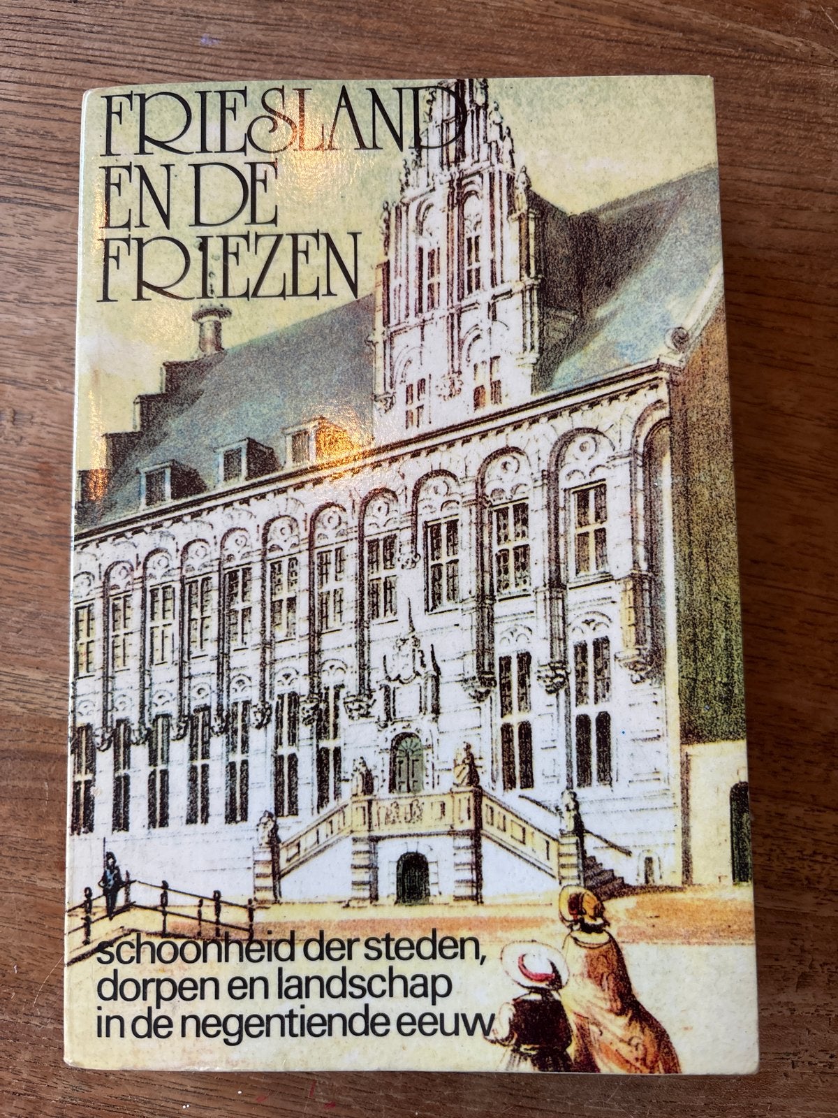 Friesland en de Friezen - Gids voor Reizenden (19e eeuw), Ophalen of Verzenden, 19e eeuw, Gelezen
