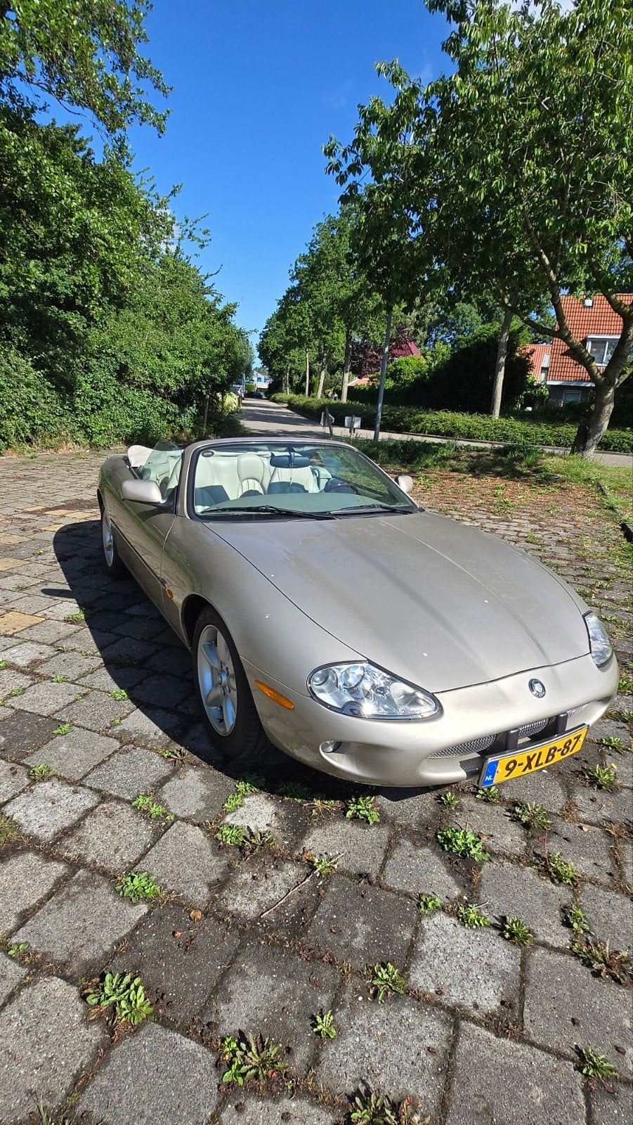Jaguar XK8 4.0 Convertible 1999 Bruin, foto 7