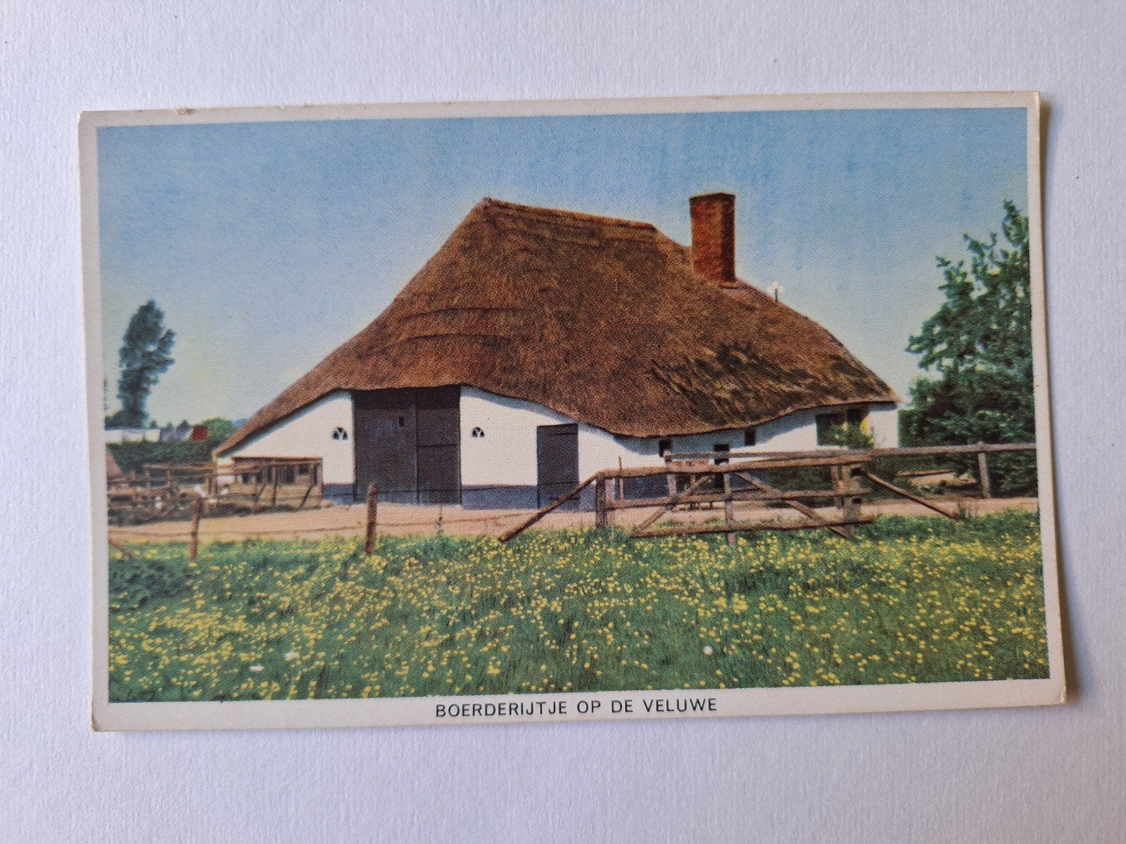 Veluwe boerderij, Ophalen of Verzenden, 1940 tot 1960, Gelderland
