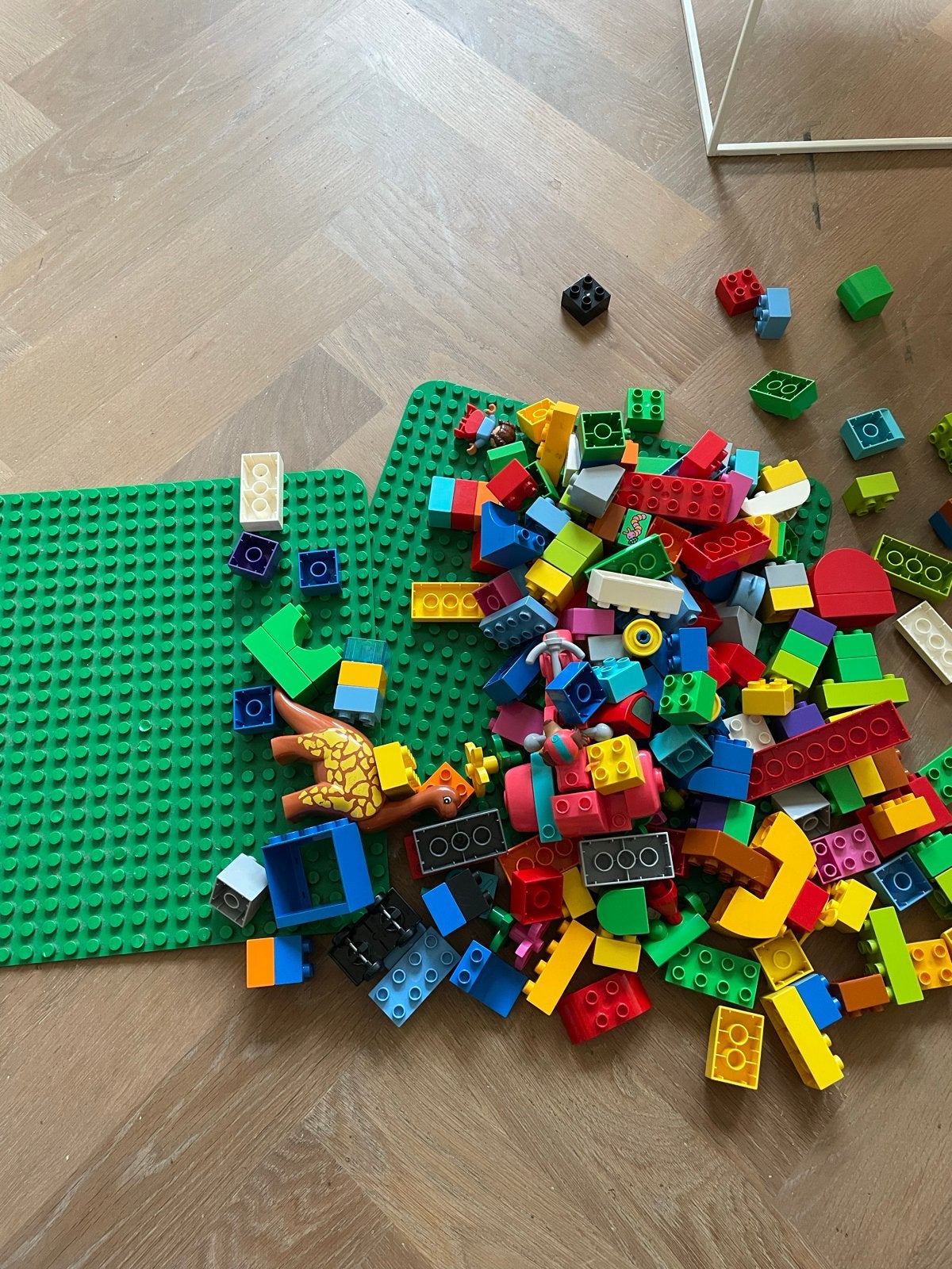 Grote collectie LEGO Duplo sets en losse blokken, Ophalen of Verzenden, Gebruikt, Overige merken