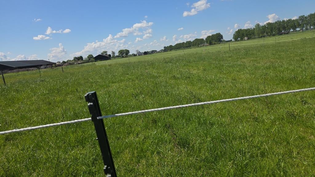 Boxen beschikbaar op pensionstal in de Ronde Venen!, Dieren en Toebehoren