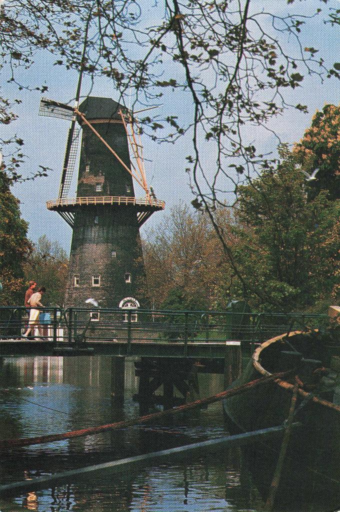 Schiedam Molen De Walvisch OM169, Ophalen, 1980 tot heden, Gelopen, Zuid-Holland