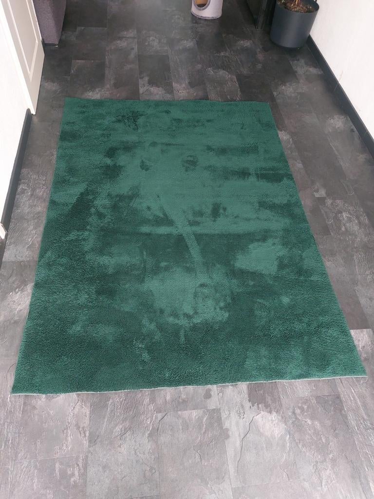 Vloerkleed (Groen) 220x160, Ophalen, 200 cm of meer, Zo goed als nieuw, Rechthoekig