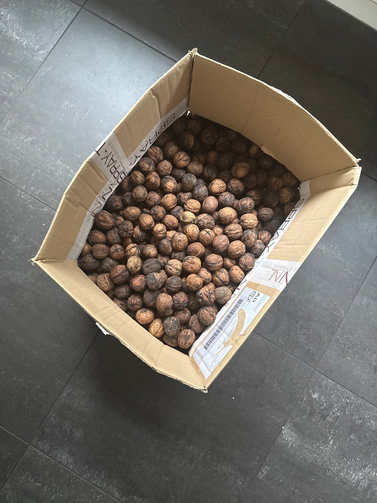 Doos met walnoten, Ophalen