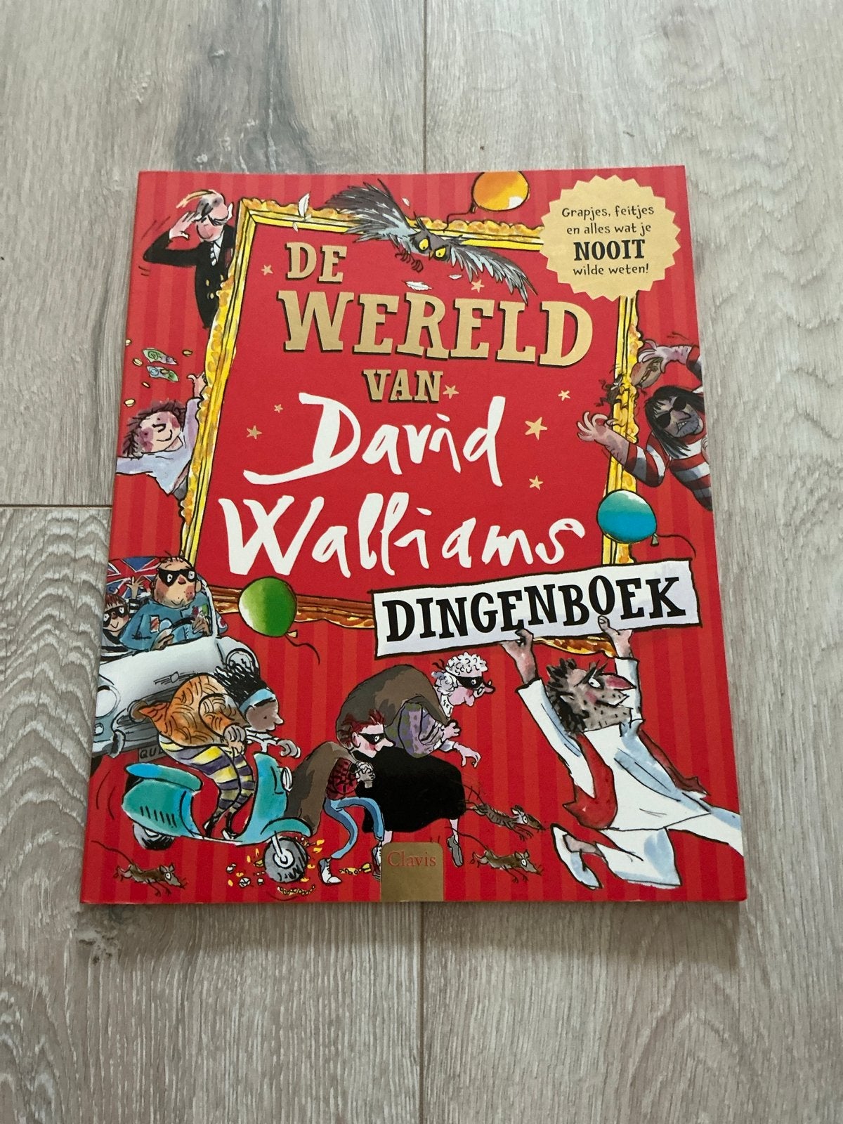De Wereld van David Walliams Dingenboek, in nieuwstaat, Ophalen of Verzenden, Zo goed als nieuw, Non-fictie