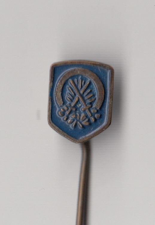 Onbekend Leger of Politie speldje, Verzamelen, Militaria | Algemeen, Niet vindbaar, Niet vindbaar, Nederland, Embleem of Badge