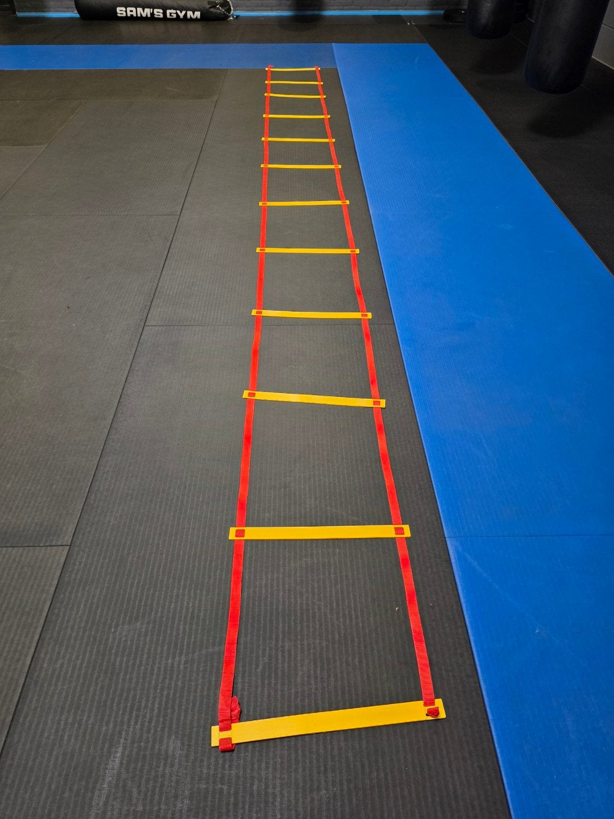 Speedladders/ agility, Sport en Fitness, Fitnessmaterialen, Ophalen of Verzenden