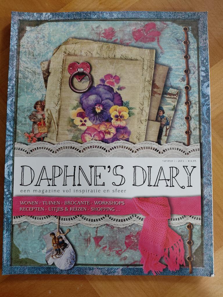 Daphne's Diary nr 1 van 2013, Boeken, Ophalen of Verzenden, Zo goed als nieuw