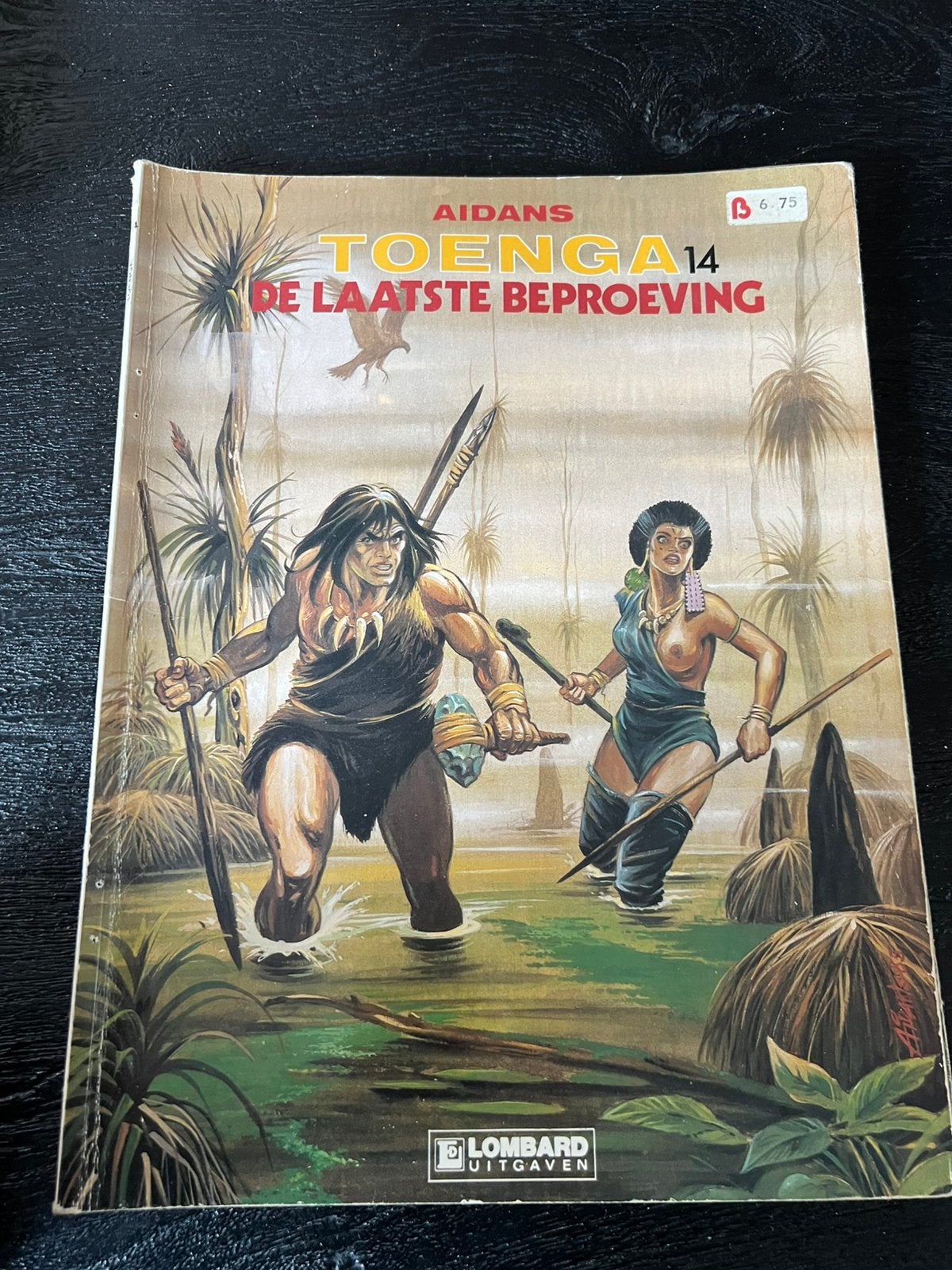 Toenga stripverhaal, Boeken, Eén stripboek, Ophalen of Verzenden, Gelezen